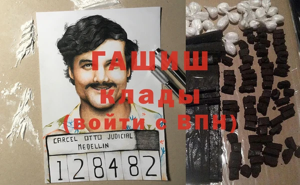 индика Алзамай