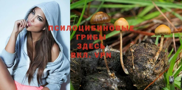 Альфа ПВП Алексеевка