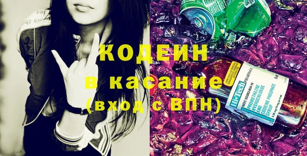 индика Алзамай