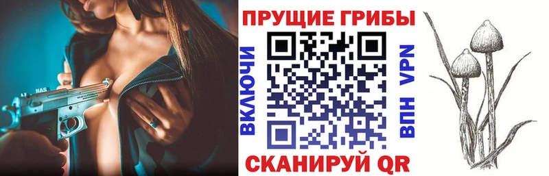МЕГА маркетплейс  Нариманов  Галлюциногенные грибы GOLDEN TEACHER  закладки 